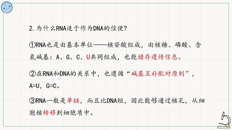 北师大版高中生物必修第二册：转录 课件PPT+教案+学案07