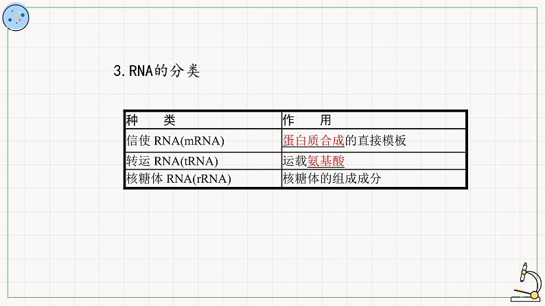 北师大版高中生物必修第二册：转录 课件PPT+教案+学案08