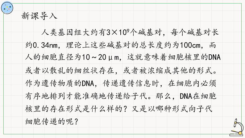 北师大版高中生物必修第二册：染色体是遗传信息的主要载体 课件PPT+教案+学案02