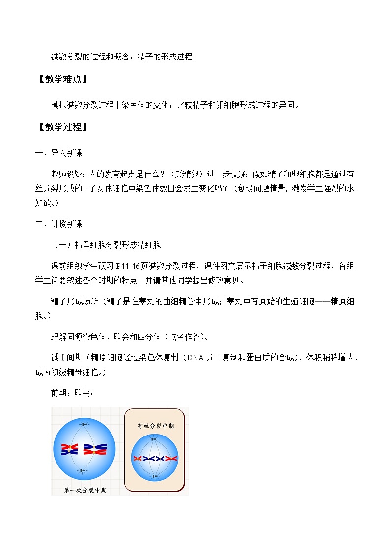 北师大版高中生物必修第二册：减数分裂与配子形成 课件PPT+教案+学案02