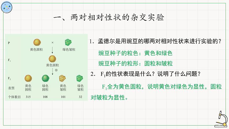 北师大版高中生物必修第二册：基因的自由组合定律 课件PPT+教案+学案03