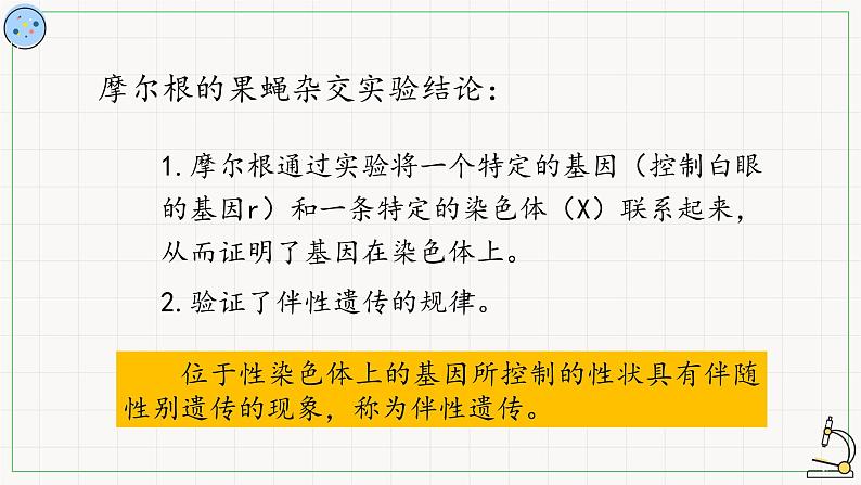 北师大版高中生物必修第二册：伴性遗传 课件PPT+教案+学案08