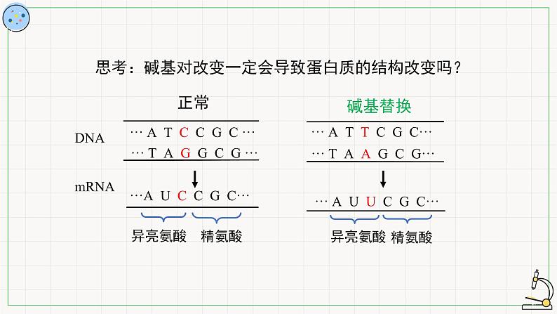 北师大版高中生物必修第二册：基因突变 课件PPT+教案+学案07