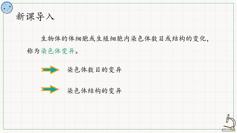 北师大版高中生物必修第二册：染色体结构变异 课件PPT+教案+学案02