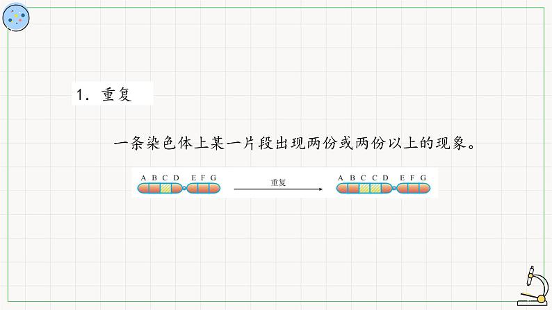 北师大版高中生物必修第二册：染色体结构变异 课件PPT+教案+学案07