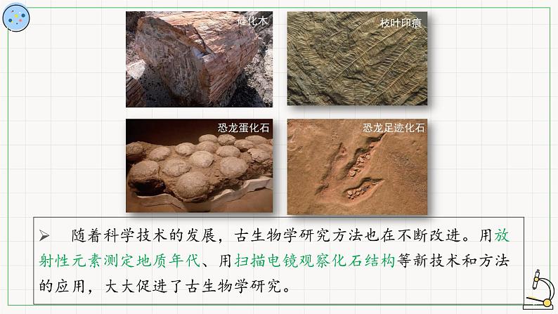 北师大版高中生物必修第二册：生物进化的证据 课件PPT+教案+学案06