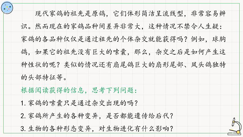 变异是自然选择的原材料-课件第4页