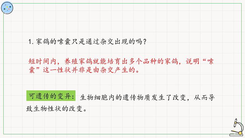 变异是自然选择的原材料-课件第5页