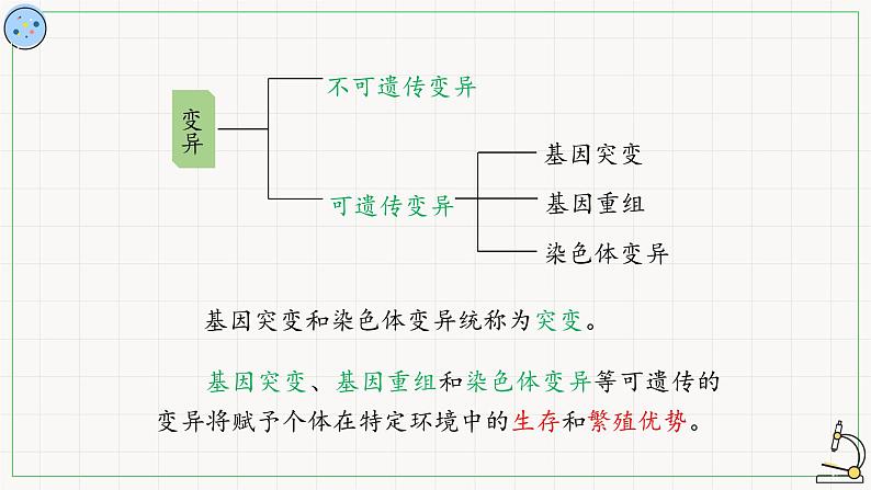 变异是自然选择的原材料-课件第7页