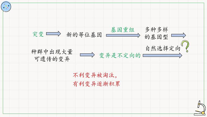 变异是自然选择的原材料-课件第8页