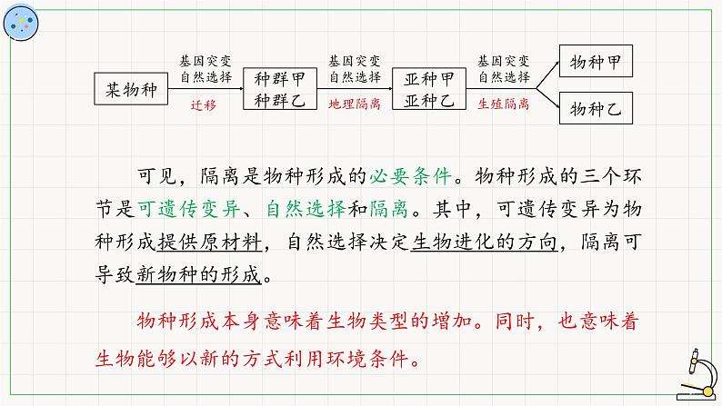 北师大版高中生物必修第二册：物种形成与生物多样性 课件PPT+教案+学案08