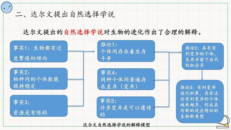 北师大版高中生物必修第二册：生物进化理论的发展 课件PPT+教案+学案07