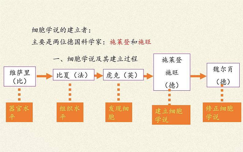 1.1细胞是生命活动的基本单位课件+教案+学案（3份打包）06