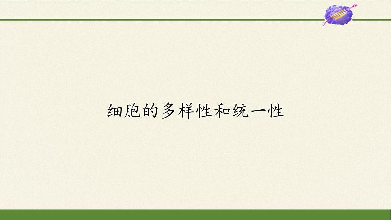 1.2细胞的多样性和统一性课件+教案+学案（3份打包）02