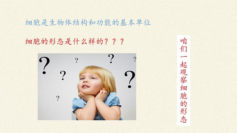 1.2细胞的多样性和统一性课件+教案+学案（3份打包）03