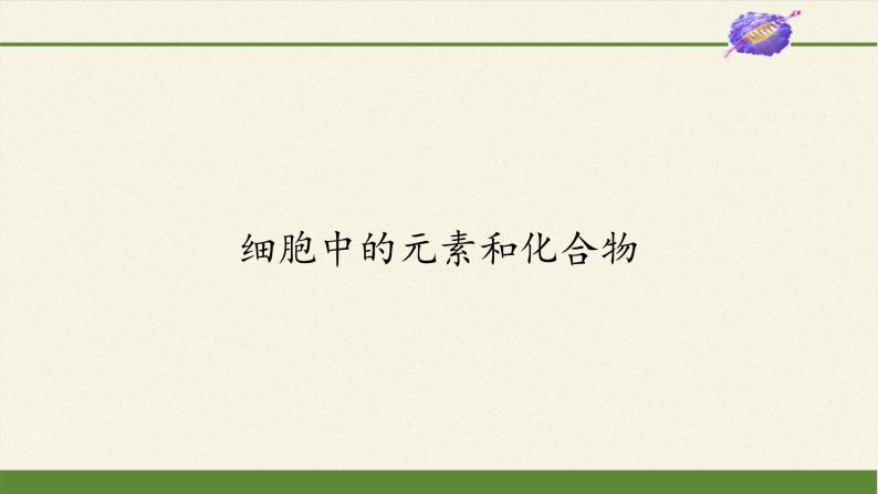 2.1细胞中的元素和化合物课件+教案+学案（3份打包）02