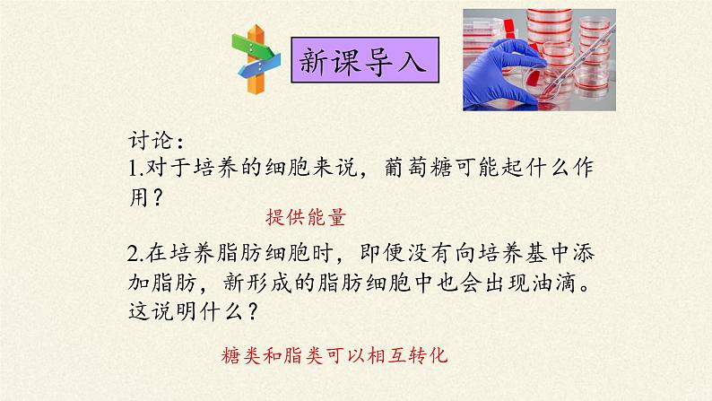 2.3细胞中的糖类和脂质课件+教案+学案（3份打包）03