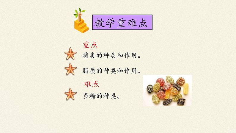 2.3细胞中的糖类和脂质课件+教案+学案（3份打包）06