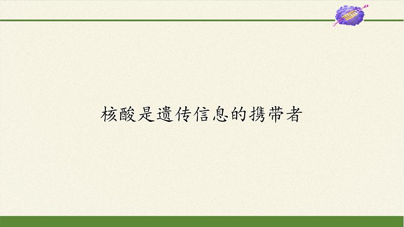 2.5核酸是遗传信息的携带者课件+教案+学案（3份打包）02