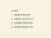 3.1(课件)细胞膜的结构和功能课件+教案+学案（3份打包）