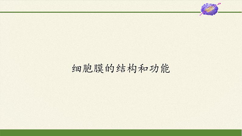 3.1(课件)细胞膜的结构和功能课件+教案+学案（3份打包）02