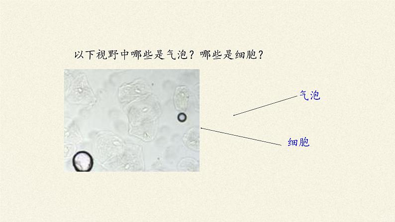 3.1(课件)细胞膜的结构和功能课件+教案+学案（3份打包）04