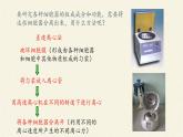 3.2(课件)细胞器之间的分工合作课件+教案+学案（3份打包）