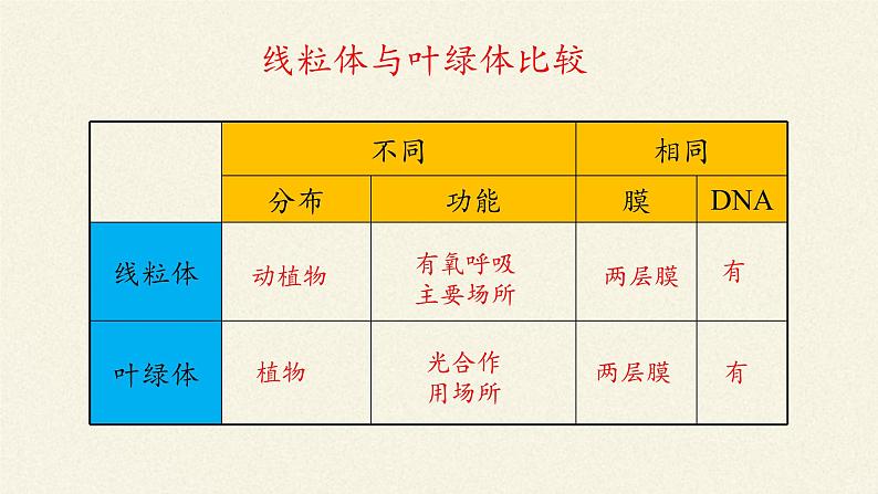 3.2(课件)细胞器之间的分工合作课件+教案+学案（3份打包）08