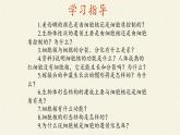 3.3(课件)细胞核的结构和功能课件+教案+学案（3份打包）