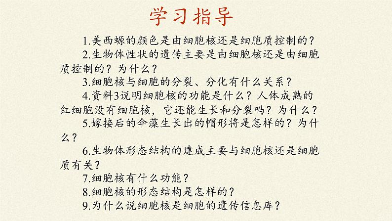 3.3(课件)细胞核的结构和功能课件+教案+学案（3份打包）04