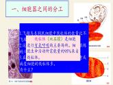 3.2(课件)细胞器之间的分工合作课件+教案+学案（3份打包）