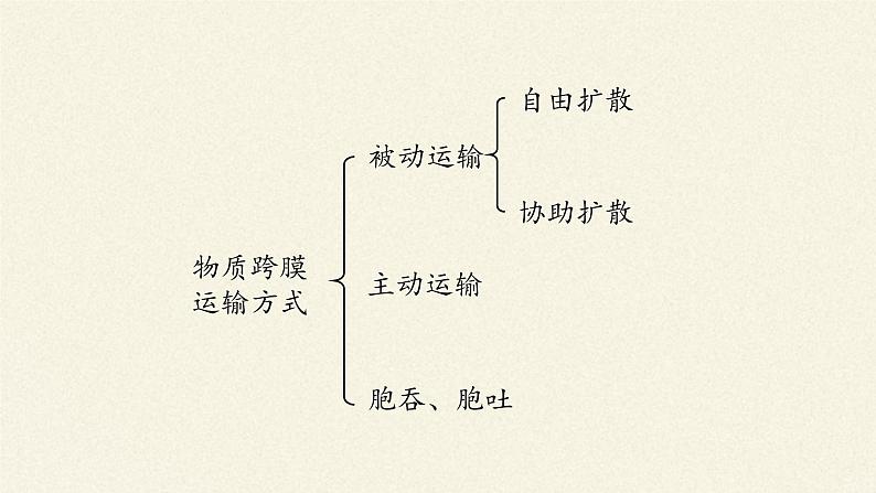 4.2主动运输与胞吞、胞吐课件+教案+学案（3份打包）05