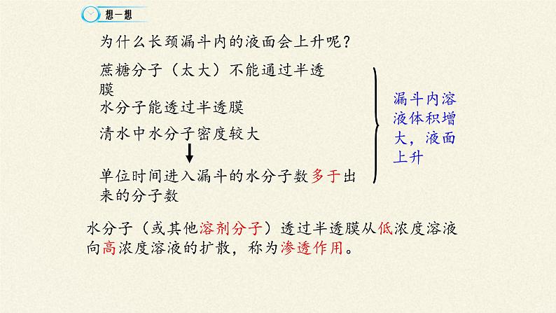 4.1被动运输课件+教案+学案（3份打包）05