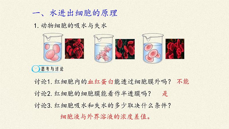 4.1被动运输课件+教案+学案（3份打包）08