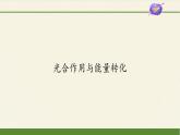 5.4(课件)光合作用与能量转化课件+教案+学案（3份打包）