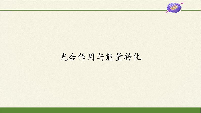 5.4(课件)光合作用与能量转化课件+教案+学案（3份打包）02