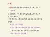 5.4(课件)光合作用与能量转化课件+教案+学案（3份打包）