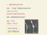 5.4(课件)光合作用与能量转化课件+教案+学案（3份打包）