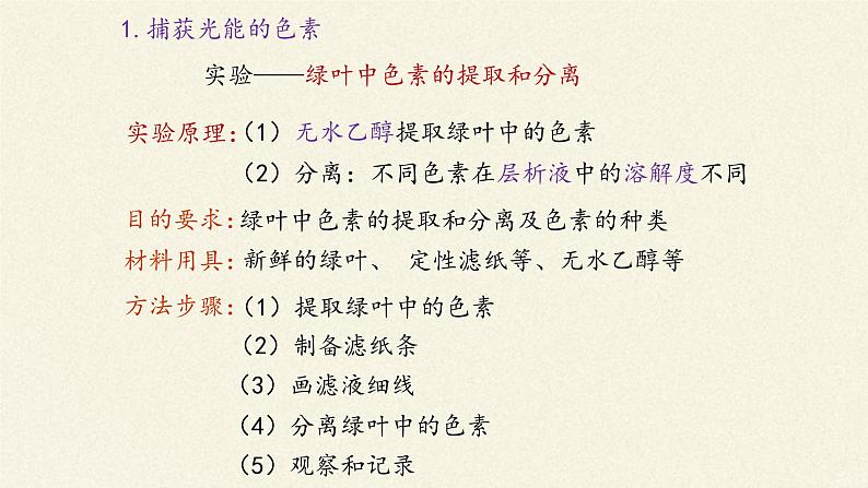 5.4(课件)光合作用与能量转化课件+教案+学案（3份打包）06