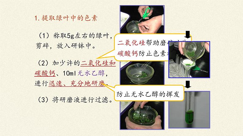 5.4(课件)光合作用与能量转化课件+教案+学案（3份打包）07