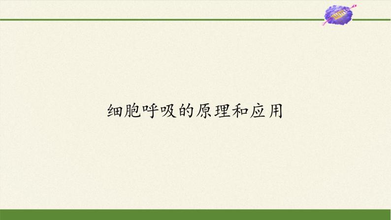 5.3(课件)细胞呼吸的原理和应用课件+教案+学案（3份打包）02