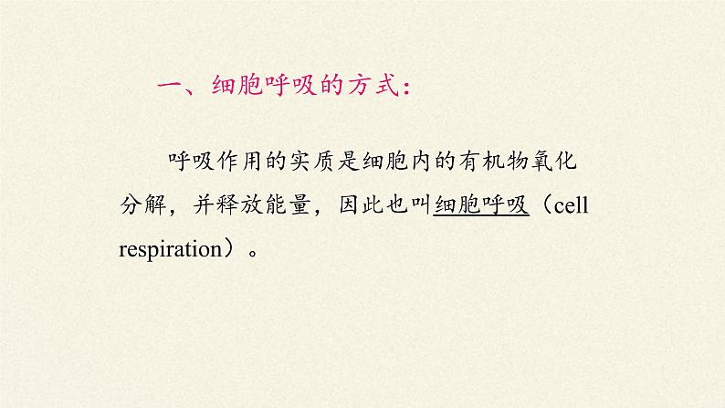 5.3(课件)细胞呼吸的原理和应用课件+教案+学案（3份打包）03