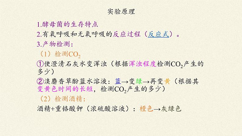 5.3(课件)细胞呼吸的原理和应用课件+教案+学案（3份打包）05