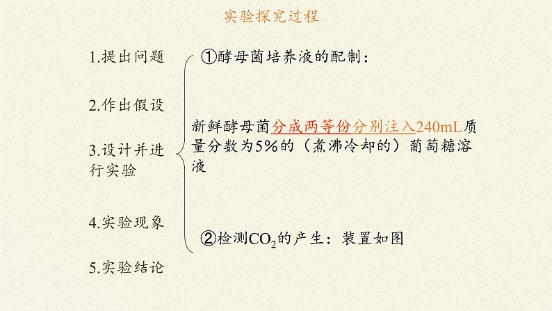 5.3(课件)细胞呼吸的原理和应用课件+教案+学案（3份打包）06