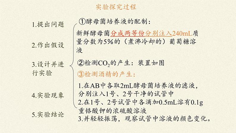 5.3(课件)细胞呼吸的原理和应用课件+教案+学案（3份打包）07