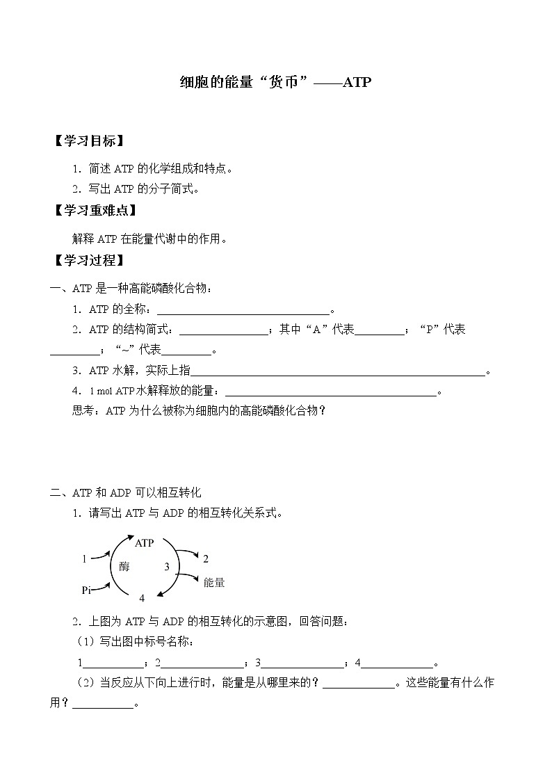 5.2(课件)细胞的能量“货币”—ATP课件+教案+学案（3份打包）01