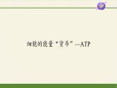 5.2(课件)细胞的能量“货币”—ATP课件+教案+学案（3份打包）
