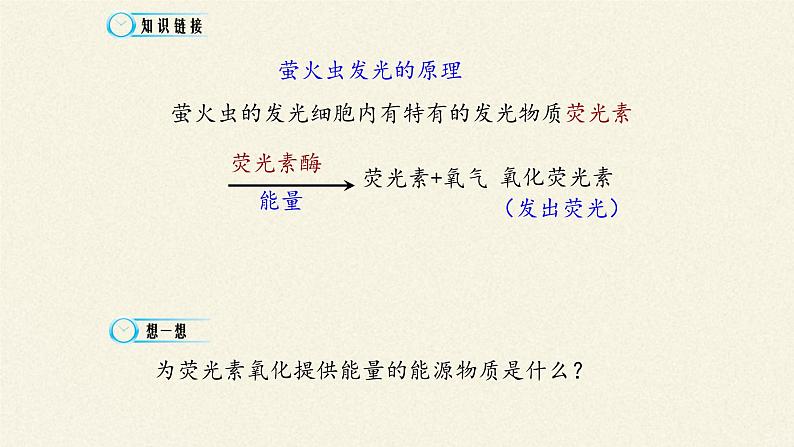 5.2(课件)细胞的能量“货币”—ATP课件+教案+学案（3份打包）04