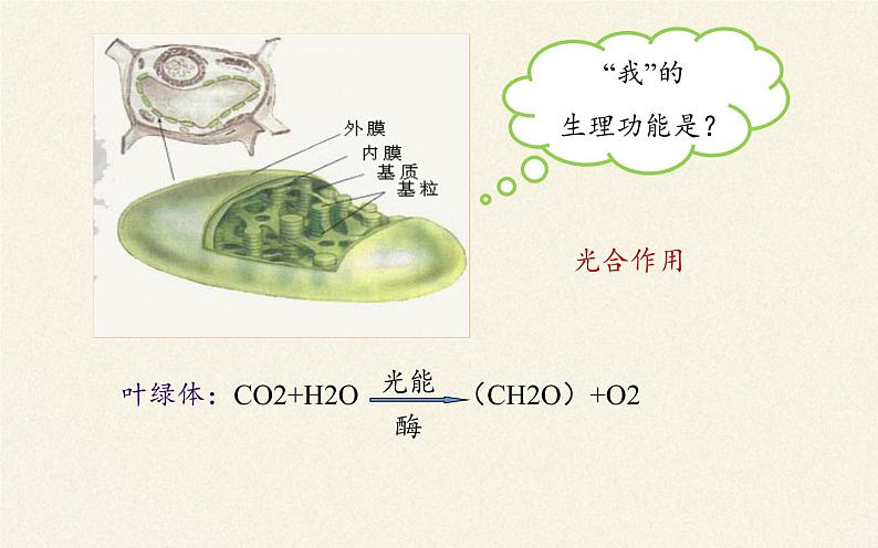 5.1(课件)降低化学反应活化能的酶课件+教案+学案（3份打包）07