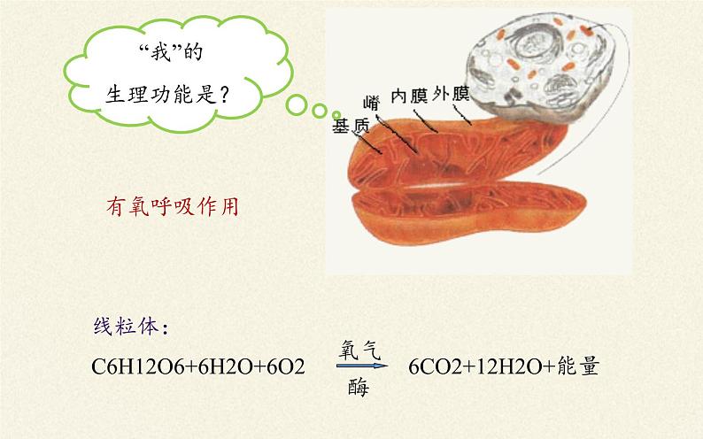 5.1(课件)降低化学反应活化能的酶课件+教案+学案（3份打包）08